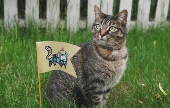 ؈���ܳ��}�᣿؈���`ʳ�}���ص�ʳ����ô�k��