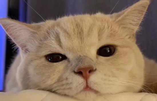 ؈���ܳ���ɏ�᣿؈�����ɏ��Ҫע��ʲô��  ​