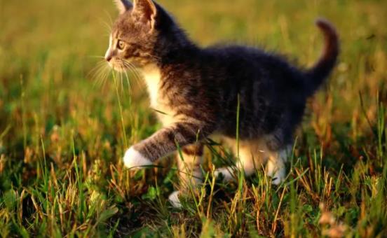 ؈���ܳ���ɏ�᣿؈�����ɏ��Ҫע��ʲô��  