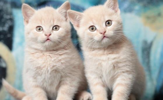 ؈���ܳ���ɏ�᣿؈�����ɏ��Ҫע��ʲô��  