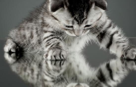 ؈����Գ�â���᣿ι؈��â����Ҫע��ʲô��