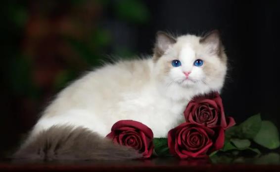 ؈���ܺȾƆ᣿؈��������᣿