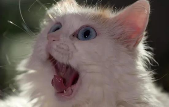 ؈���ܺȾƆ᣿؈��������᣿