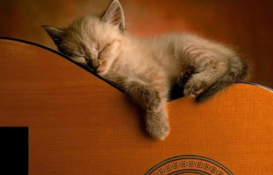 ؈���ܳ���Щ�߲ˣ�؈�䲻�ܳ���Щ�߲ˣ�