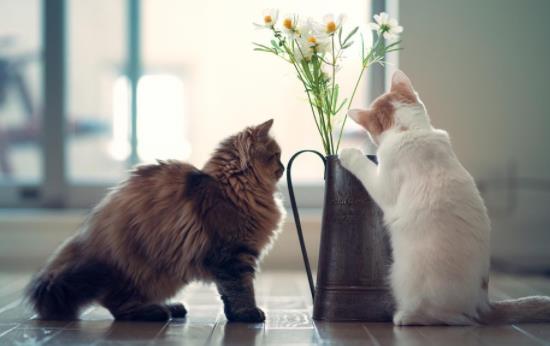 ؈��^����ʲô��̎��؈��^����ʲô��̎��