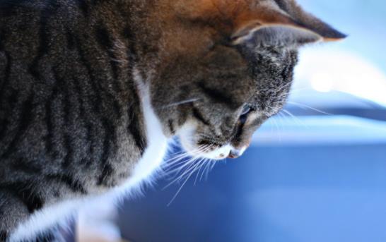 ؈���Ժ͹�һ���B�᣿؈�͹�һ���B��Ҫע��ʲô��