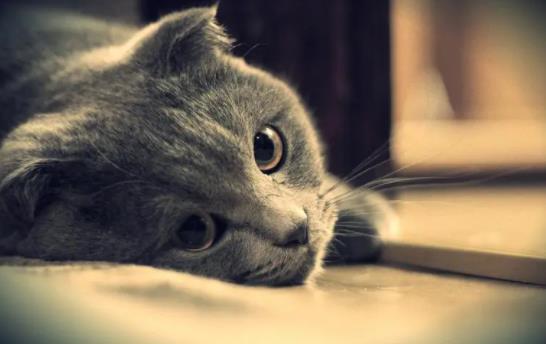 ؈���Ժ͹�һ���B�᣿؈�͹�һ���B��Ҫע��ʲô��