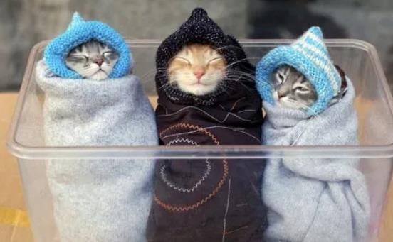 ؈���Ժ͹�һ���B�᣿؈�͹�һ���B��Ҫע��ʲô��