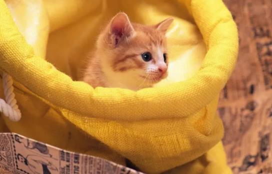 ؈�������ë�᣿؈ë�����á�