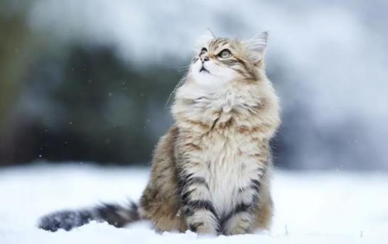 ؈�������ë�᣿؈ë�����á�