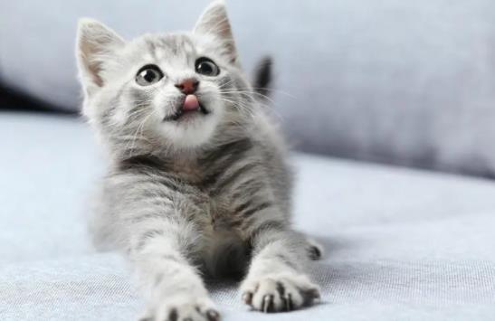 ؈���ð��ʲô�Y�����؈���ð��ԭ������Щ��