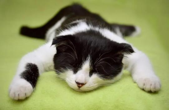 ؈����ʲôԭ������ģ�؈��?x��)���Ⱦ�o�ˆ᣿