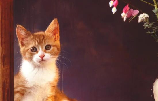 ؈��^������Ҫע��ʲô��؈������Խ^����