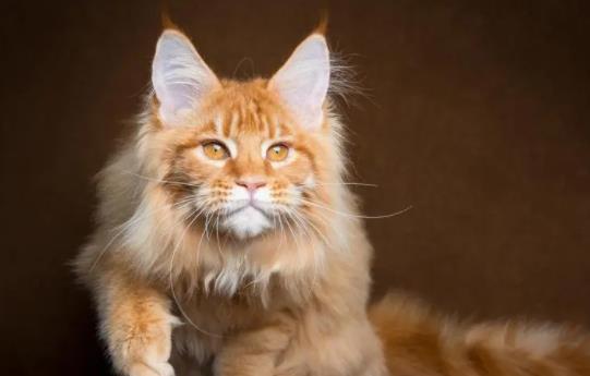 ؈��^������Ҫע��ʲô��؈������Խ^����