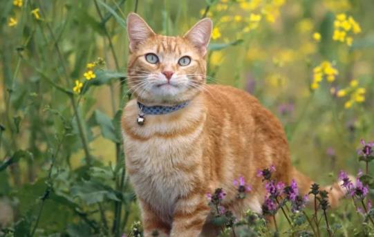 ؈��^������Ҫע��ʲô��؈������Խ^����