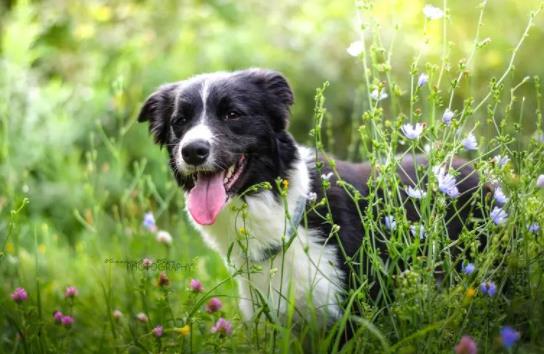 �������Գ����u���᣿�������Գ����⡢������᣿