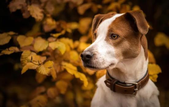 �������Գ����u���᣿�������Գ����⡢������᣿