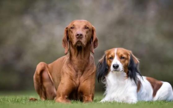 �������Գ���Щ�߲ˣ��������Գ���Щˮ����