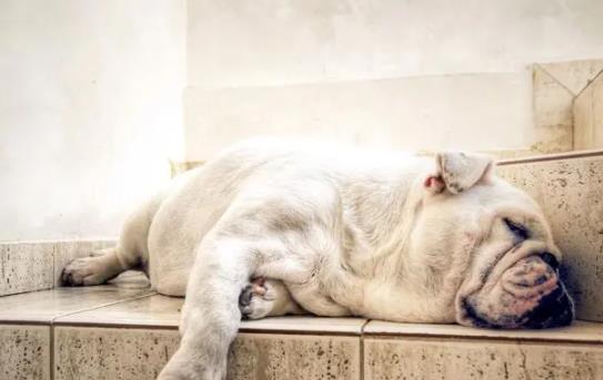 ������ð����Щ�Y��������Գ���ĸ�ðˎ�᣿