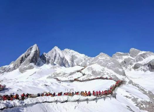 ������ѩɽһƿ��������������ѩɽ���߷���