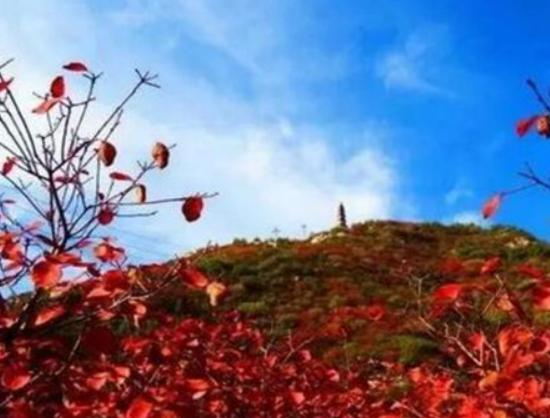 太原最好玩的地方推薦,晉祠博物館特色多、天龍山石窟是地標性打卡點 太原最好玩的地方推薦,晉祠博物館特色多、天龍山石窟是地標性打卡點