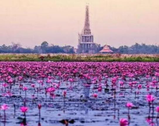 仙桃最好玩的地方排行榜,沔城風景名勝區是有1400多年歷史的古城 仙桃最好玩的地方排行榜,沔城風景名勝區是有1400多年歷史的古城