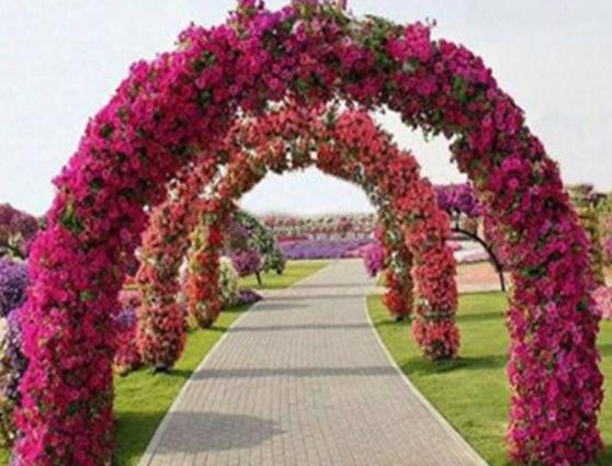 仙桃最好玩的地方排行榜,沔城風景名勝區是有1400多年歷史的古城 仙桃最好玩的地方排行榜,沔城風景名勝區是有1400多年歷史的古城