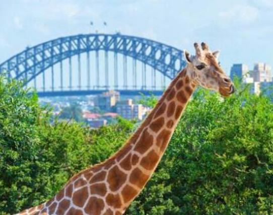 ȥϤ�����ε�ʮ����ξ��c��Ϥ��脡Ժҹ�����������˸ۘO������