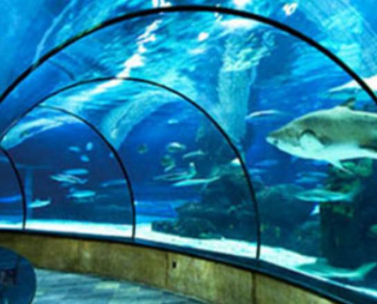 暑假帶孩子去上海的旅游景點(diǎn),巧克力開心樂園、長風(fēng)海洋世界非常精致 暑假帶孩子去上海的旅游景點(diǎn),巧克力開心樂園、長風(fēng)海洋世界非常精致