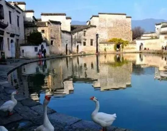可以窮游旅游城市排名,貴州黔東南村超正火、安徽宏村青磚黛瓦 可以窮游旅游城市排名,貴州黔東南村超正火、安徽宏村青磚黛瓦