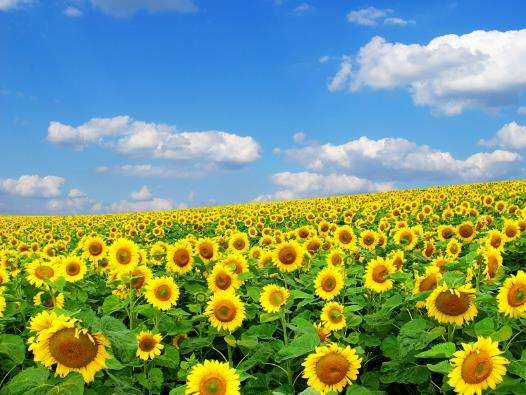 ꖚ���Ļ���ʲô����һ����ʲô�r�gȥ�����տ���