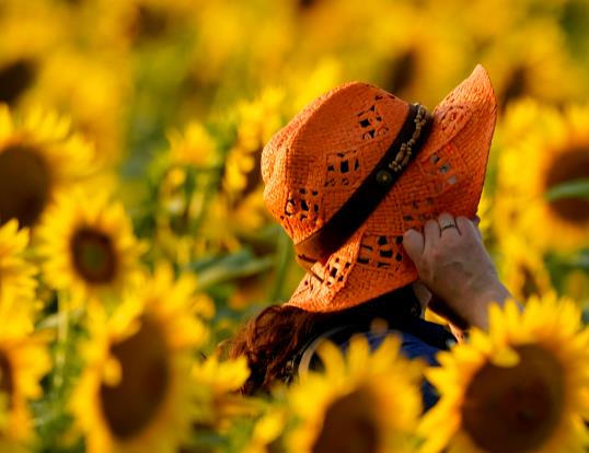 ���տ��x��߀��(hu��)���_�᣿���տ��_����Ҫ���