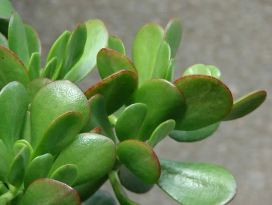 ����ʲô�ط��B���ã����Ǥ������������