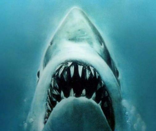 世界十大銀幕怪獸排行榜,金剛戰(zhàn)斗力極強(qiáng)、哥斯拉的形象有點(diǎn)可怕 世界十大銀幕怪獸排行榜,金剛戰(zhàn)斗力極強(qiáng)、哥斯拉的形象有點(diǎn)可怕