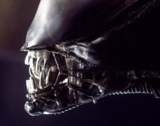 世界十大銀幕怪獸排行榜,金剛戰(zhàn)斗力極強(qiáng)、哥斯拉的形象有點(diǎn)可怕 世界十大銀幕怪獸排行榜,金剛戰(zhàn)斗力極強(qiáng)、哥斯拉的形象有點(diǎn)可怕