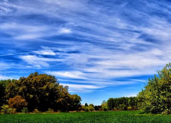 ����O�˸ߜ��Ƿ���ɞ鳣�B(t��i)�������O�˸ߜ���⌦�˂�������ɶӰ�