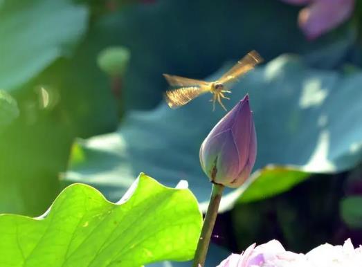 ����O�˸ߜ��Ƿ���ɞ鳣�B�������O�˸ߜ���⌦�˂�������ɶӰ�