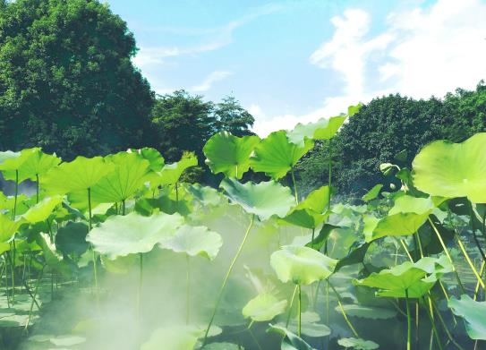 �����ߜ؞��������ң��O�˸ߜ�����Щ��Ҫע���