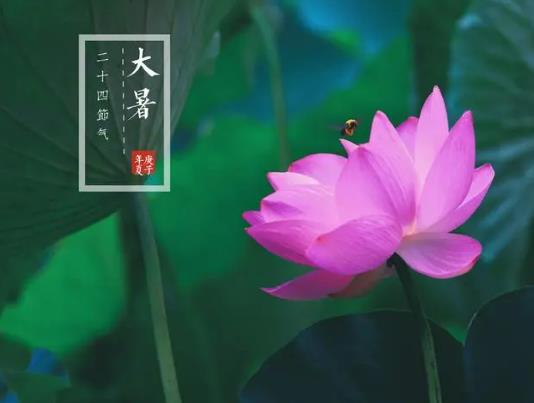 大暑是熱還是涼快?過了大暑天氣還熱嗎 大暑是熱還是涼快?過了大暑天氣還熱嗎