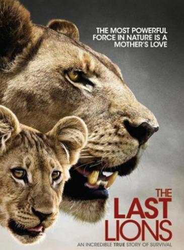 世界十大動物紀錄片,河貍白毛歷險記很可愛、最后的獅子帶你欣賞草原故事 世界十大動物紀錄片,河貍白毛歷險記很可愛、最后的獅子帶你欣賞草原故事