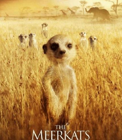 世界十大動物紀錄片,河貍白毛歷險記很可愛、最后的獅子帶你欣賞草原故事 世界十大動物紀錄片,河貍白毛歷險記很可愛、最后的獅子帶你欣賞草原故事