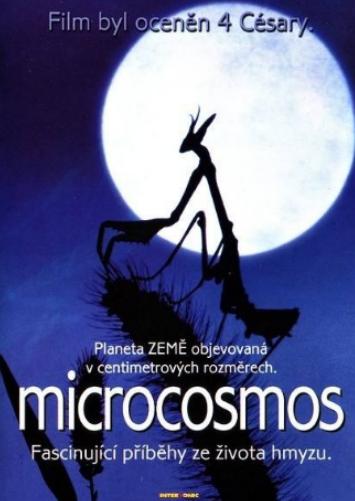 世界十大動物紀錄片,河貍白毛歷險記很可愛、最后的獅子帶你欣賞草原故事 世界十大動物紀錄片,河貍白毛歷險記很可愛、最后的獅子帶你欣賞草原故事