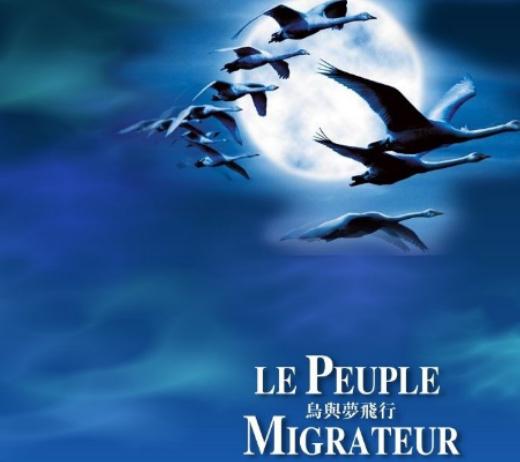 世界十大動物紀錄片,河貍白毛歷險記很可愛、最后的獅子帶你欣賞草原故事 世界十大動物紀錄片,河貍白毛歷險記很可愛、最后的獅子帶你欣賞草原故事