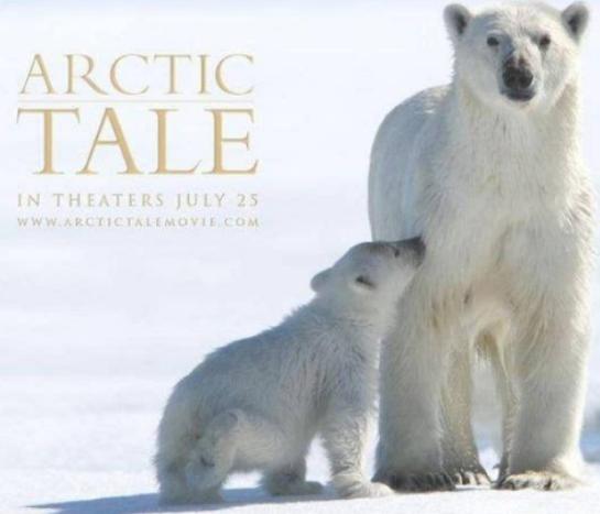 世界十大動物紀錄片,河貍白毛歷險記很可愛、最后的獅子帶你欣賞草原故事 世界十大動物紀錄片,河貍白毛歷險記很可愛、最后的獅子帶你欣賞草原故事