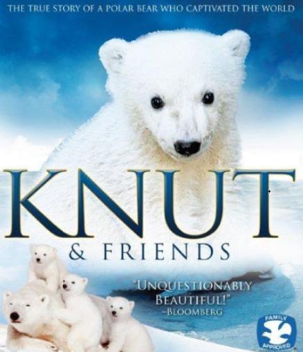 世界十大動物紀錄片,河貍白毛歷險記很可愛、最后的獅子帶你欣賞草原故事 世界十大動物紀錄片,河貍白毛歷險記很可愛、最后的獅子帶你欣賞草原故事