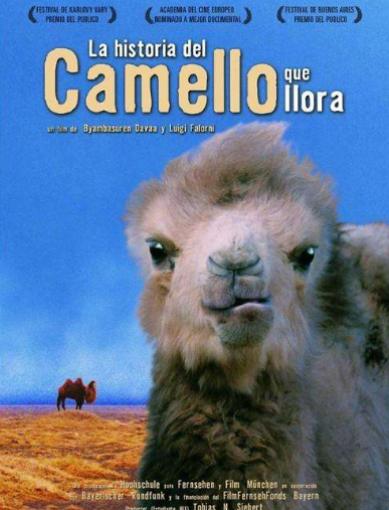 世界十大動物紀錄片,河貍白毛歷險記很可愛、最后的獅子帶你欣賞草原故事 世界十大動物紀錄片,河貍白毛歷險記很可愛、最后的獅子帶你欣賞草原故事