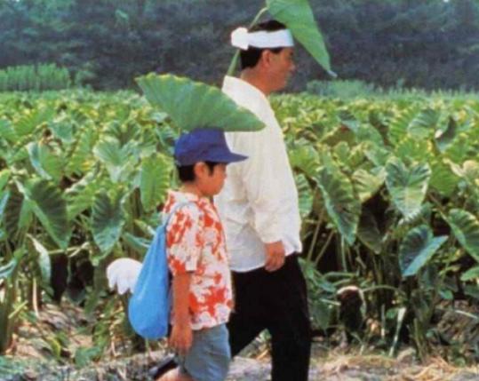 日本十大經典電影排名,千與千尋感人至深、龍貓是小朋友的最愛 日本十大經典電影排名,千與千尋感人至深、龍貓是小朋友的最愛