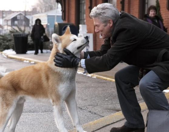 ȫ��ʮ������u(p��ng)�ߜI�Ӱ��̩̹���̖(h��o)����̖(h��o)���ĶY�￰�Q(ch��ng)�p��֮��