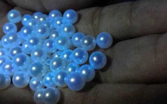 �ɹ℩������Σ�� ���ȥ���ɹ℩