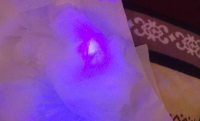 �ɹ��l������Σ�� �ɹ℩�������